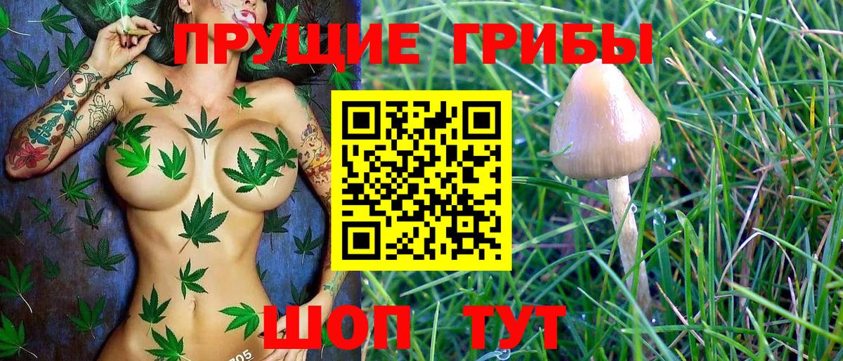 даркнет сайт  Галлюциногенные грибы Magic Shrooms  Вход с VPN  Белогорск 