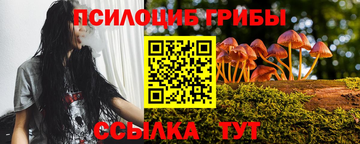 Галлюциногенные грибы прущие грибы Белогорск